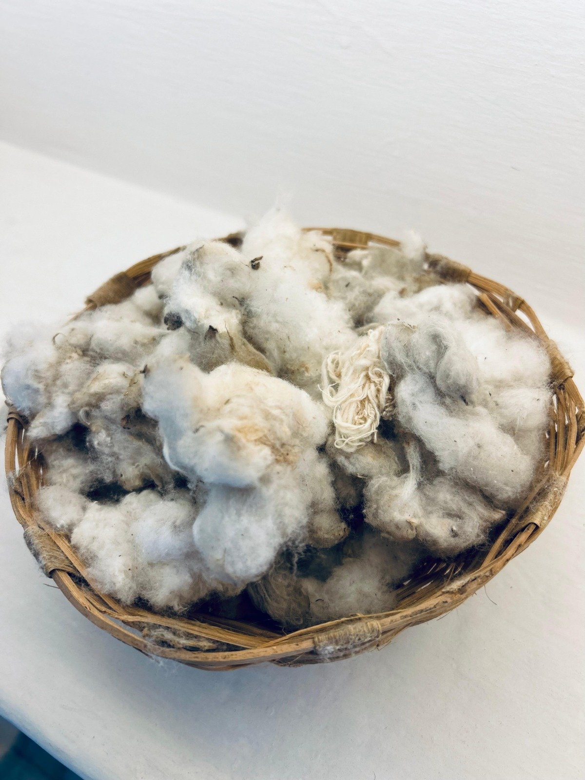 WhatsApp Image 2025-12-30 at 13.57.49 (1)