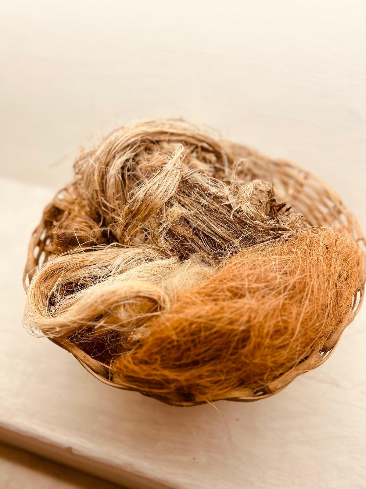 WhatsApp Image 2025-12-30 at 13.57.50 (3)