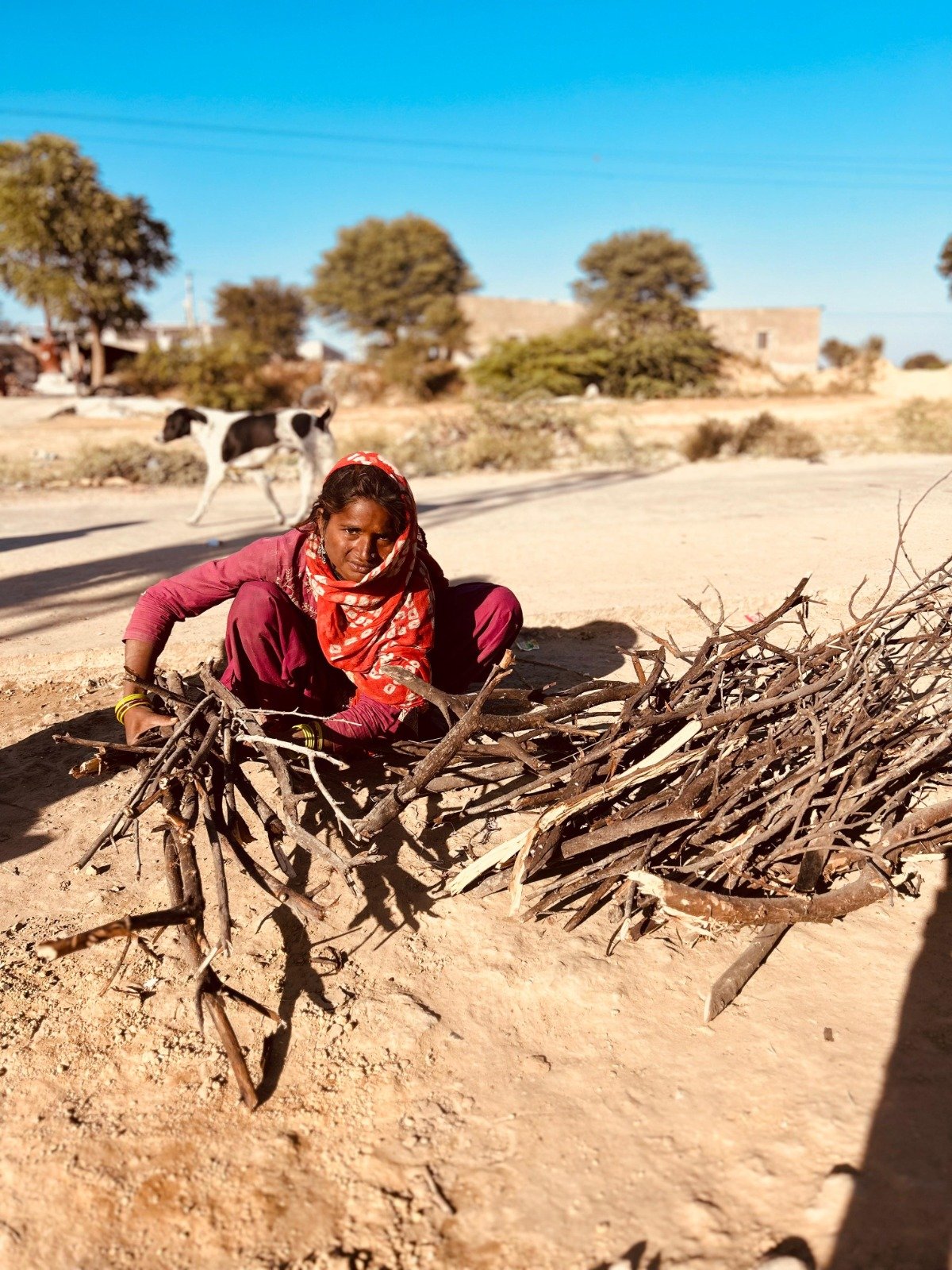 WhatsApp Image 2025-12-30 at 13.57.51 (1)